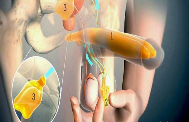 Lipophiliation operation